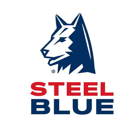 STEEL BLUE